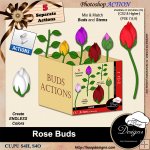 Rose Buds by Boop Designs Rose Buds by Boop Designs